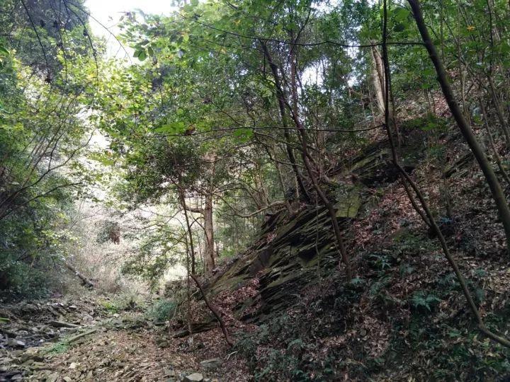 疯狂点击汉堡