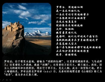 逃离大犀牛出没地