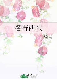 坎巴拉太空计划