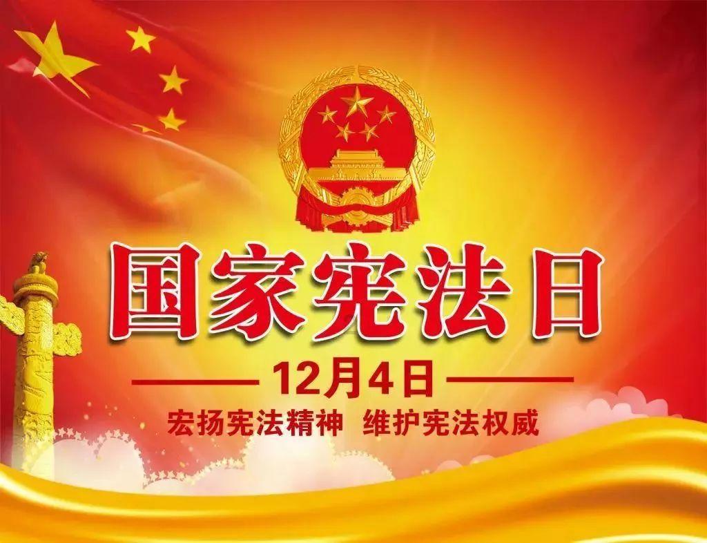 忍者鲨鱼